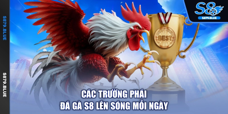 Các trường phái đá gà S8 lên sóng mỗi ngày