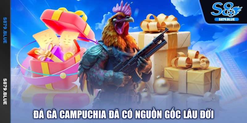 Đá gà Campuchia đã có nguồn gốc lâu đời