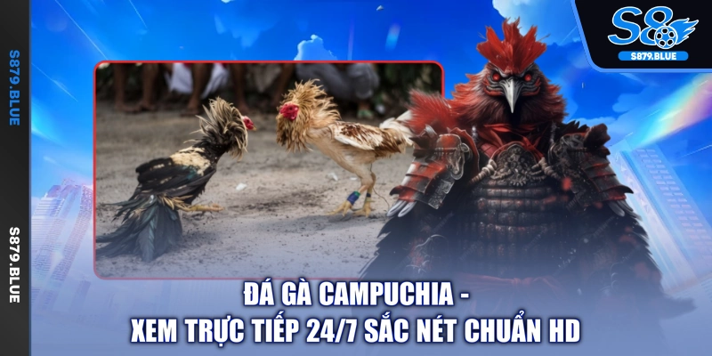 Đá Gà Campuchia