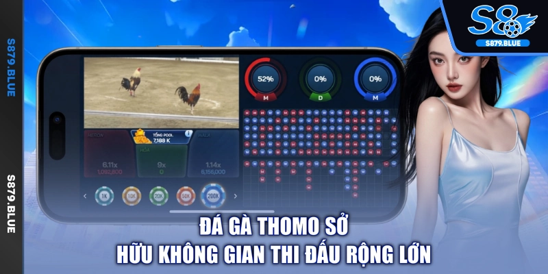 Đá gà Thomo sở hữu không gian thi đấu rộng lớn