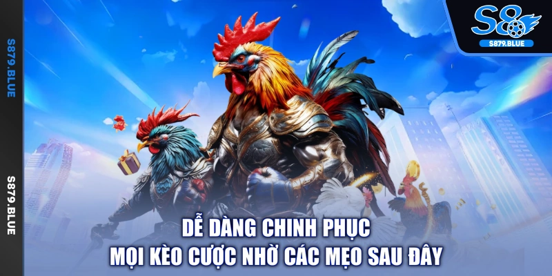 Dễ dàng chinh phục mọi kèo cược nhờ các mẹo sau đây