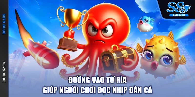 Đường vào từ rìa giúp người chơi đọc nhịp đàn cá