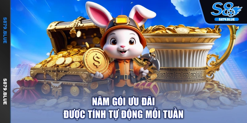 Năm gói ưu đãi được tính tự động mỗi tuần