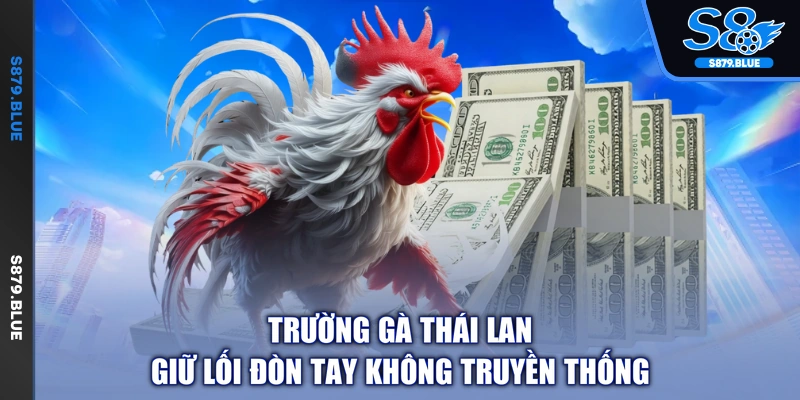 Trường gà Thái Lan giữ lối đòn tay không truyền thống