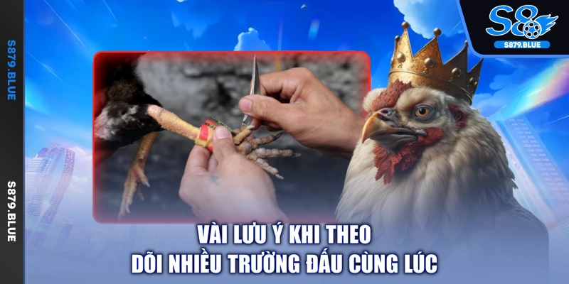 Vài lưu ý khi theo dõi nhiều trường đấu cùng lúc